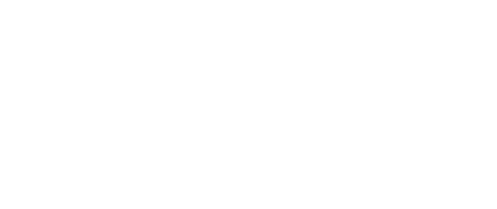 hostpoint logo-white